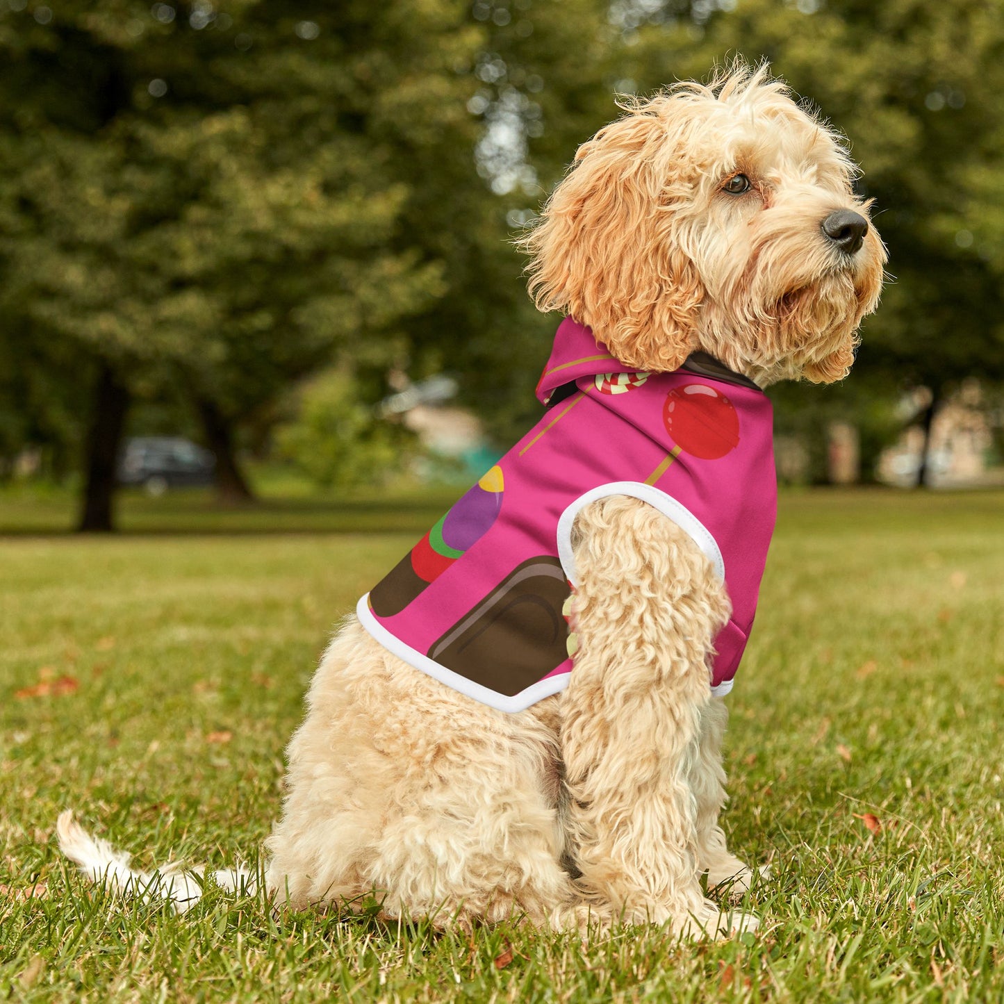 Sweet Treats for Your Pup | Pet Hoodie with Ice Cream & Candy Print