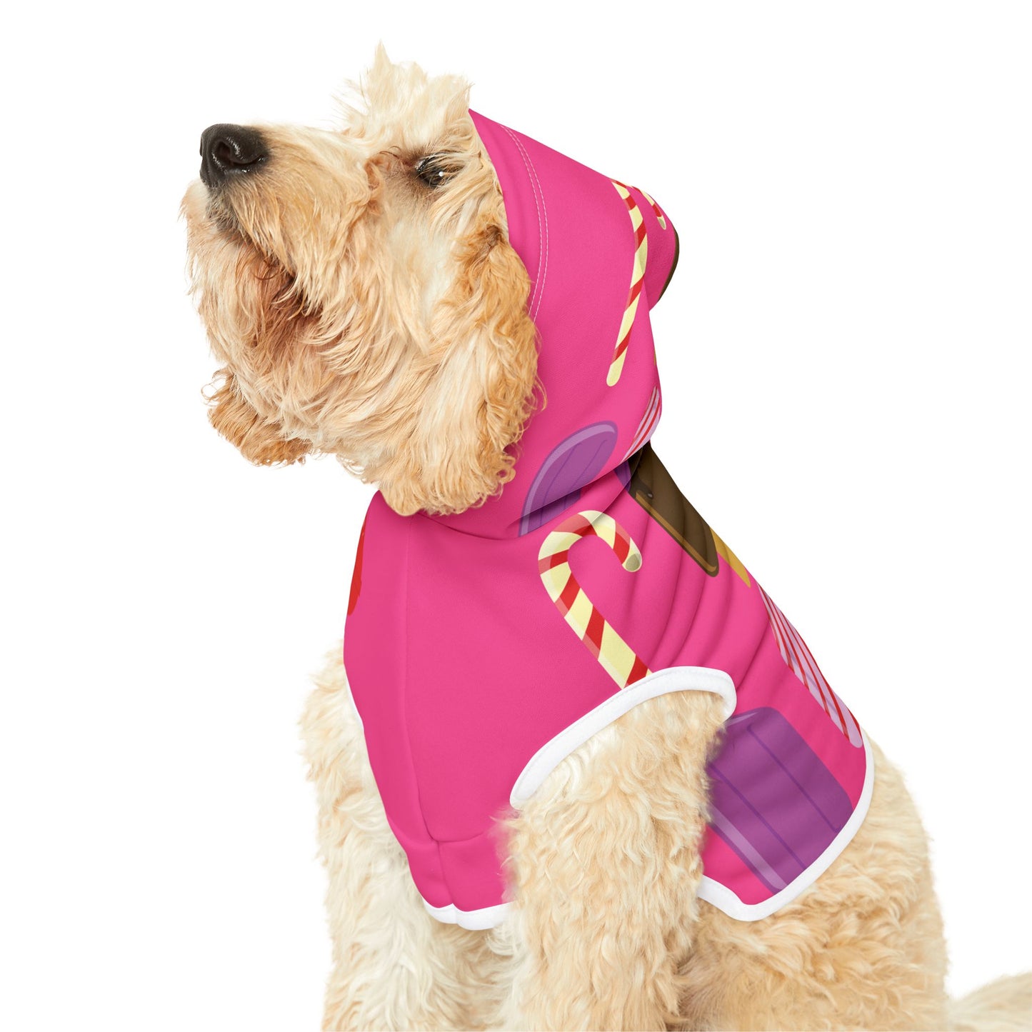 Sweet Treats for Your Pup | Pet Hoodie with Ice Cream & Candy Print