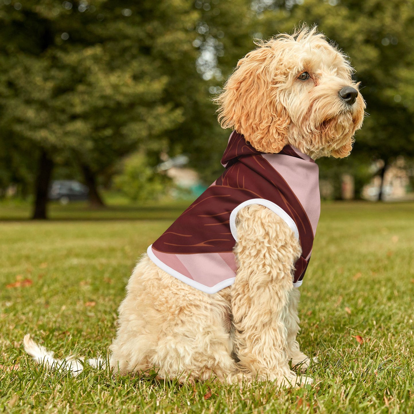 Raisin Hoodie for Pets | Fun Fruit Fashion | Cozy Looks for Cool Dogs & Cats