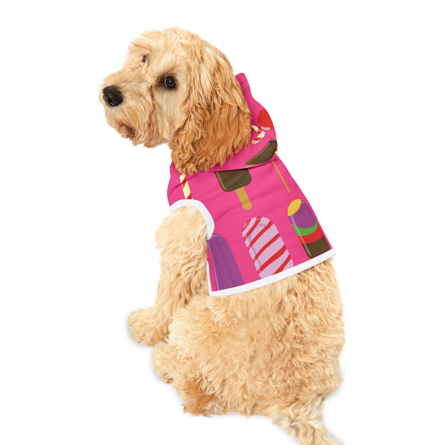Sweet Treats for Your Pup | Pet Hoodie with Ice Cream & Candy Print