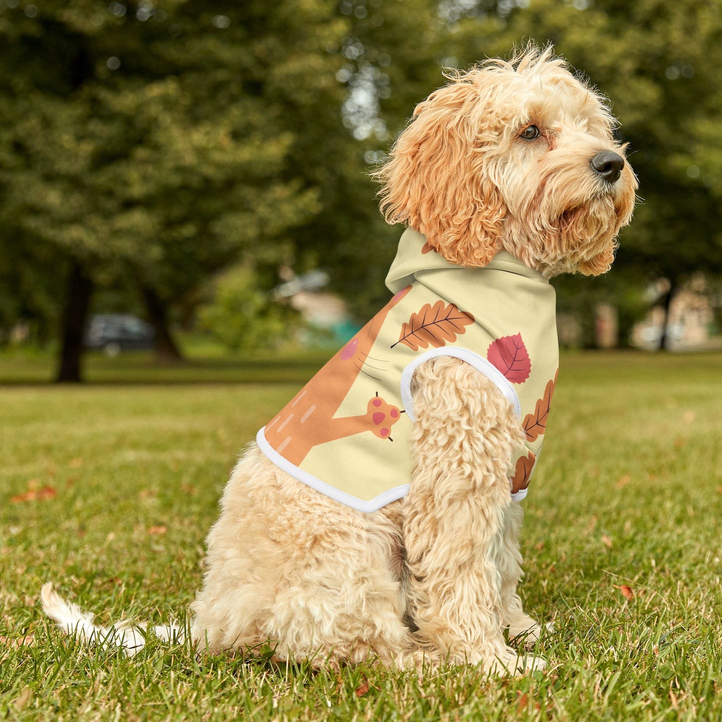 Pet Hoodie | Autumn Cat and Falling Leaves