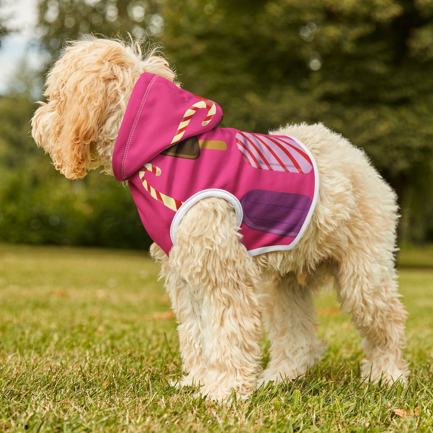 Sweet Treats for Your Pup | Pet Hoodie with Ice Cream & Candy Print