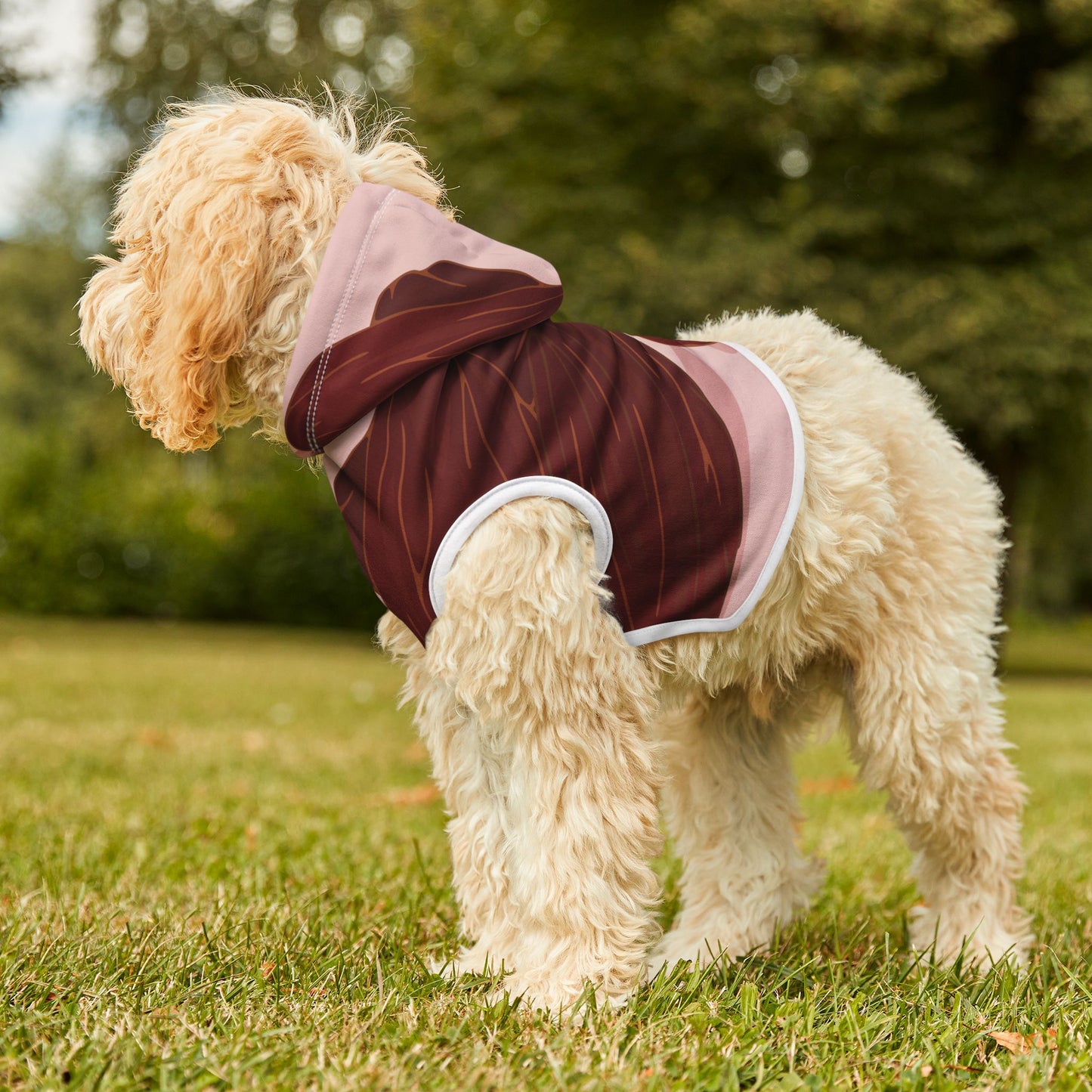 Raisin Hoodie for Pets | Fun Fruit Fashion | Cozy Looks for Cool Dogs & Cats
