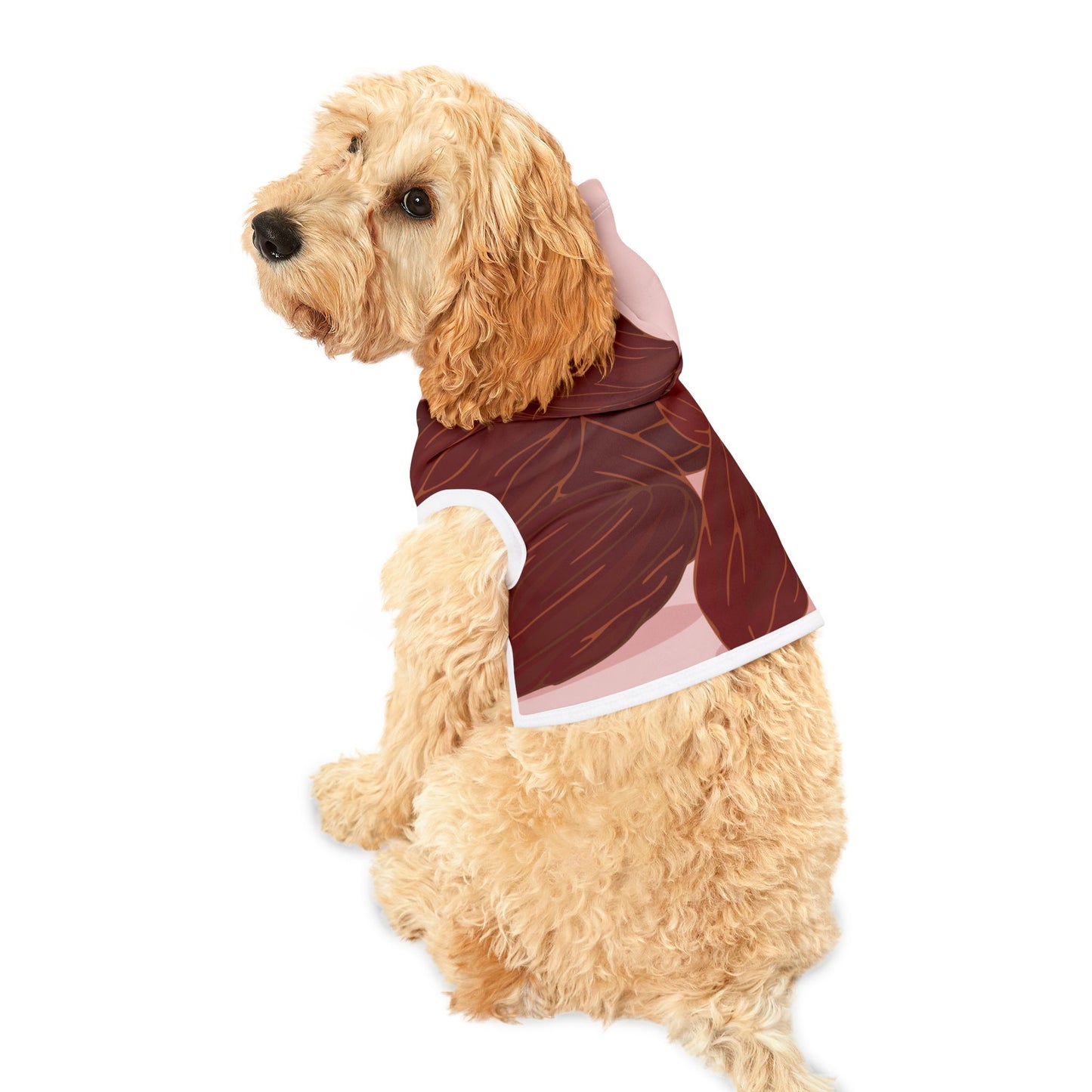 Raisin Hoodie for Pets | Fun Fruit Fashion | Cozy Looks for Cool Dogs & Cats