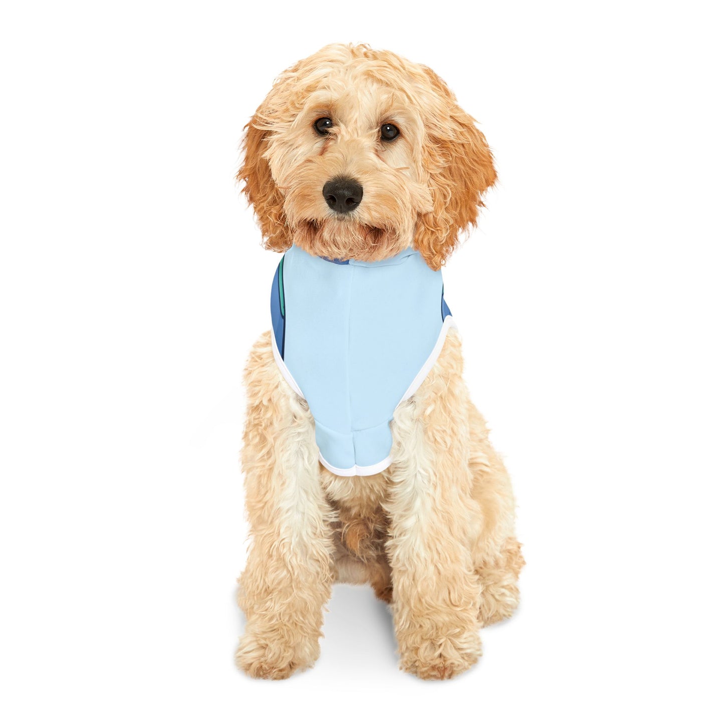 Cool Earth With Glasses | Ful & Trendy Pet Hoodie